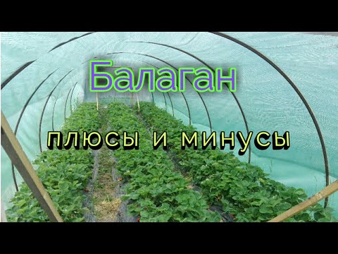 Видео: Плюсы и минусы балаганов.