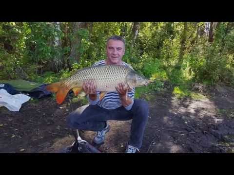 Видео: Рыбхоз ''Гжелка'' Август 2016  Трофейный карп.