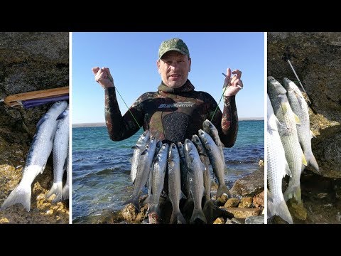 Видео: Охота на лобана с Алексеем Дудченко (Arsi)