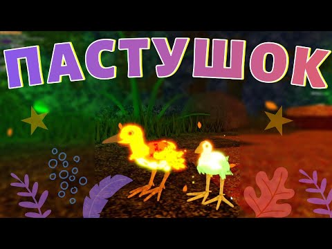 Видео: 🐤ПУКЕКО и КОРОЛЕВСКИЙ ПАСТУШОК (ПОГОНЫШ) ! Новая Птица 2025 Семья Птиц Роблокс