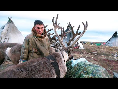 Видео: Кочевник | Ясавэй. Кочевник ХХI века