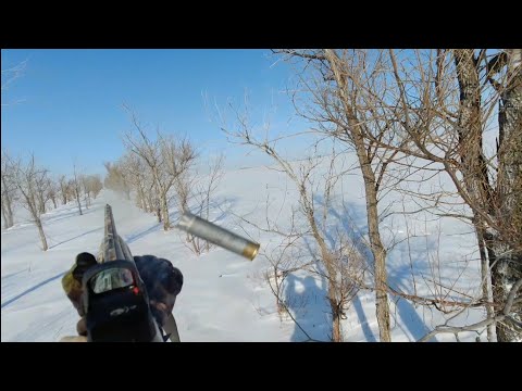 Видео: охота на зайца. Заяц с пробитым баком.