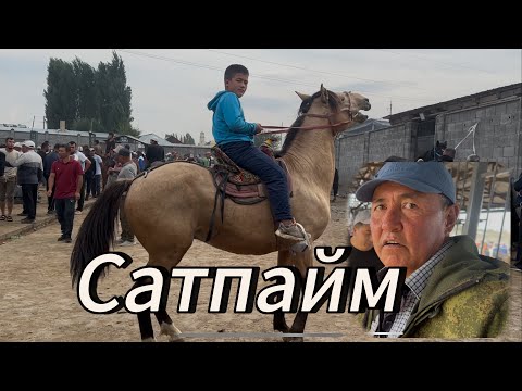 Видео: Базарды кызыткан Ат куштуу эккен 
