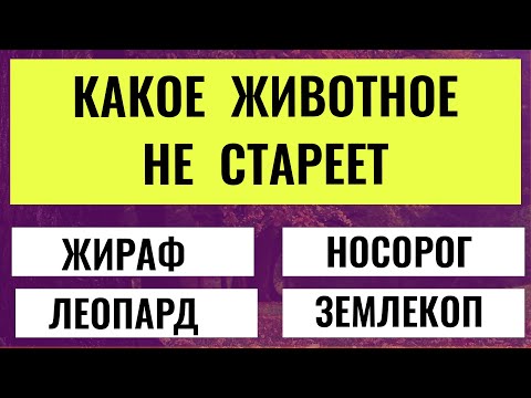 Видео: Этот Тест на Эрудицию Сдаёт Только 1 из 10! Попробуй Себя!