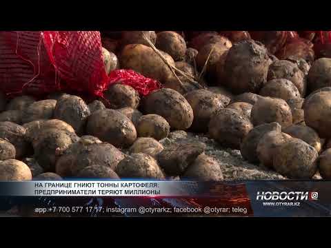 Видео: На границе гниют тонны картофеля: предприниматели теряют миллионы