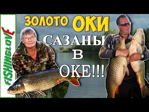 Видео: ЗОЛОТО ОКИ