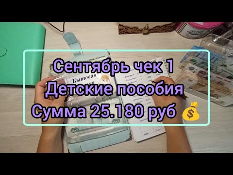 Видео: #38 Сентябрь чек #1// Сумма 25.180 руб 💰