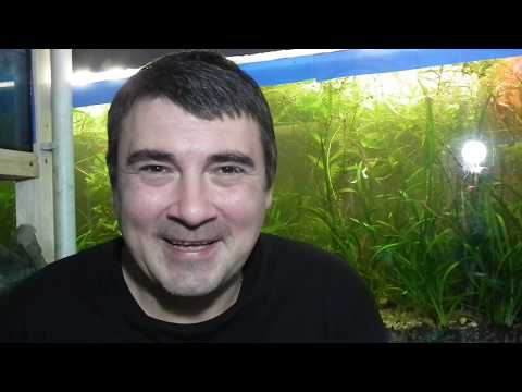 Видео: Вторая часть про удобрения и дополнительная информация.