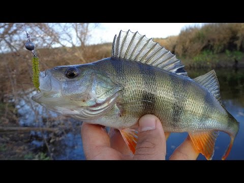 Видео: Ловля окуня на джиг приманки. Catching bass on jig.