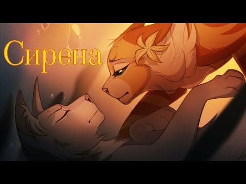 Видео: ЗАКАЗ Коты Воители Звёздный Цветок: Сирена (Polnalyubvi)