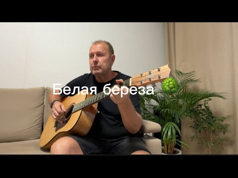 Видео: Кавер (cover) Белая береза 🌳 