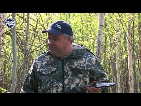 Видео: Сморчки и строчки