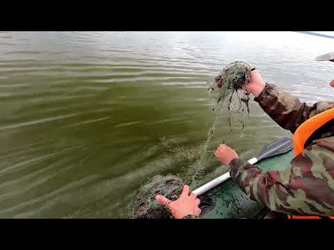 Видео: Чухломское озеро 14.07.23 ДЕНЬ ВЕРТУШКИ