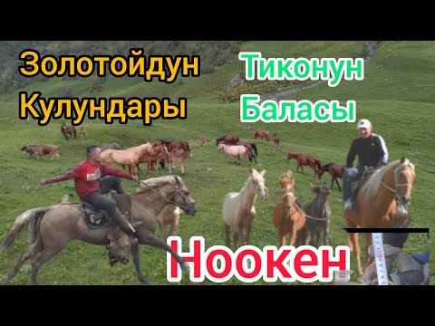 Видео: Золотой ТИКО