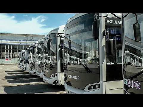 Видео: В Волжский прибыли новые автобусы