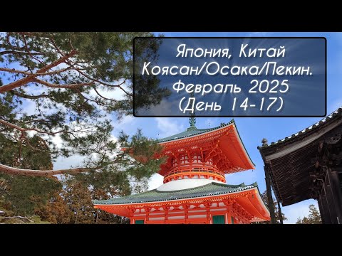 Видео: Япония, Коясан/Осака/Пекин. Февраль 2025 (День 14-17)