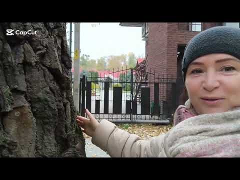 Видео: Молдова💥я в Шоке от увиденного💥это браконьерство 😥