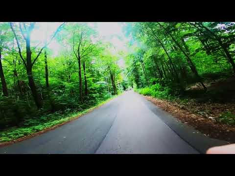 Видео: Карл-Маркс-Штадт. Хемниц. 50618 и 80847 Весь круг "трешки".  Гаштет.  Надписи на деревьях