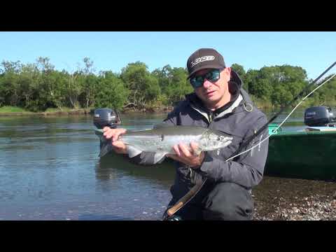 Видео: Камчатка, Кижуч 2018 год, рыболовная база "Большая Река" - "Big River"
