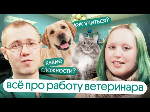 Видео: УЗНАЙ, КАК работает ВЕТЕРИНАР: учеба, пациенты, ШОК-КОНТЕНТ во время практики