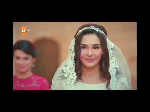 Видео: Ветреный. клип