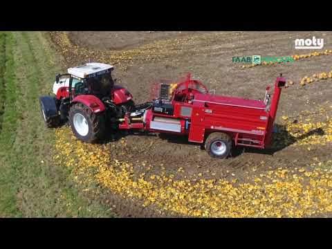 Видео: Комбайн для сбора тыквенных семечек Moty