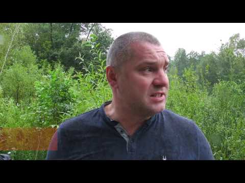 Видео: У Цуманській Пущі на Волині намагались вкрасти 130-літні дуби