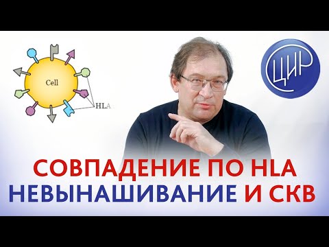 Видео: HLA совпадение в диагностике причин привычного невынашивания беременности. HLA-типирование в ЦИР.
