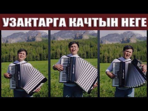 Видео: Мелис Жусупов  #Узактарга качтың неге