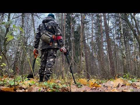 Видео: Монеты Сами Выпрыгивали из Земли когда видели Minelab Vanquish 540 PRO Pack.