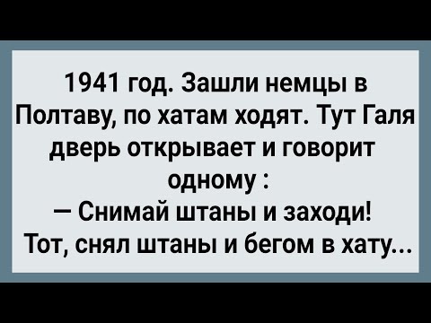Видео: Как Галя в Хату Немцев Водила! Сборник Свежих Анекдотов! Юмор!