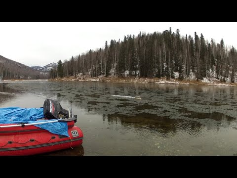Видео: За хариусом поздней осенью, Амыл, опасность шуги, делаем сагудай из хариуса.