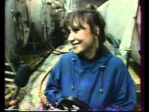 Видео: к юбилею предприятия "АЯН". ГТРК РХ (прибл. 1999-2000)