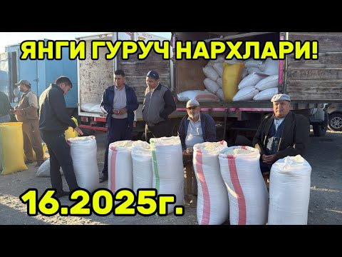 Видео: ХОРАЗМ ХАЗАРАСП ОПТОМ ГУРУЧ ЯНГИ ГУРУЧ ЯНГИ НАРХЛАРИ 16 сентября 2025 г.