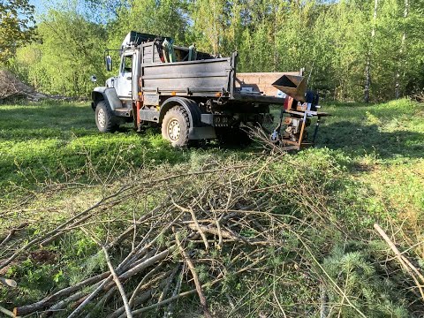 Видео: 4795 + поедатор веток 🪳🪳🪳