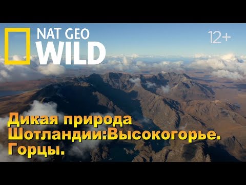 Видео: Nat Geo Wild: Дикая природа Шотландии: Высокогорье. Горцы / Wild Scotland. Highlands