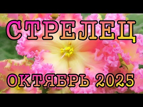 Видео: СТРЕЛЕЦ таро прогноз на ОКТЯБРЬ 2025 года