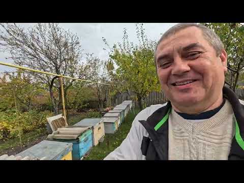 Видео: ✅ Как Подготовить Пчел к Зимовке! Запасные Матки и многое другое! #пчеловодство1