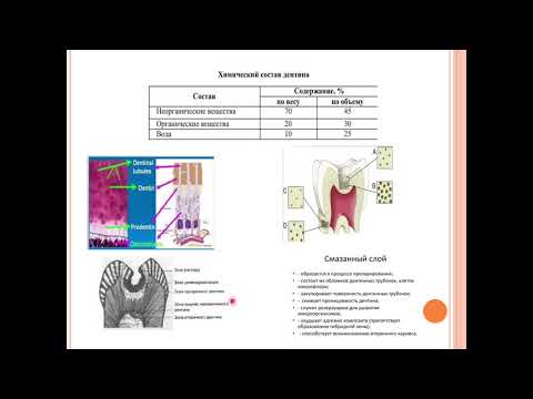 Видео: Кариесология 10.Современные адгезивные системы