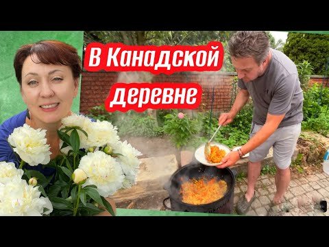 Видео: Обзор огорода// удобряем все Гуматом Калия// готовим плов// Жизнь в Канадской деревне
