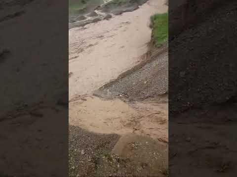 Видео: Лучшие моменты трансляции "МТВ Исфана в прямом эфире!" (0:00–3:20)