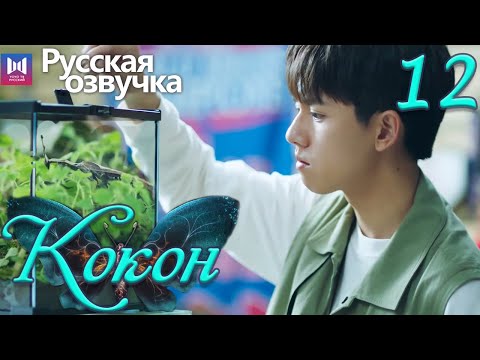 Видео: Кокон 12 Серия (Русская озвучка) (Чжан Яо, Чу Юэ) | Insect Detective