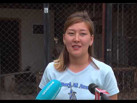 Видео: Қылмыс пен жаза (Рика ТВ) 19 шілде 2019 жыл