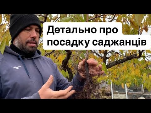 Видео: Детально про посадку саджанців