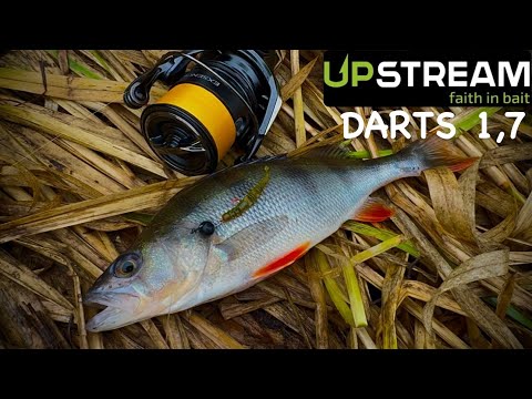 Видео: ОСЕННИЙ МИКРОДЖИГ С БЕРЕГА|ОКУНЬ И ЩУКА на UPSTREAM DARTS