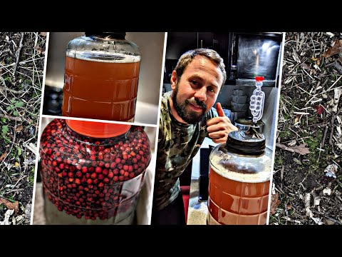 Видео: ВИНО З ГЛОДУ 🍷👌👍#РЕЦЕПТ