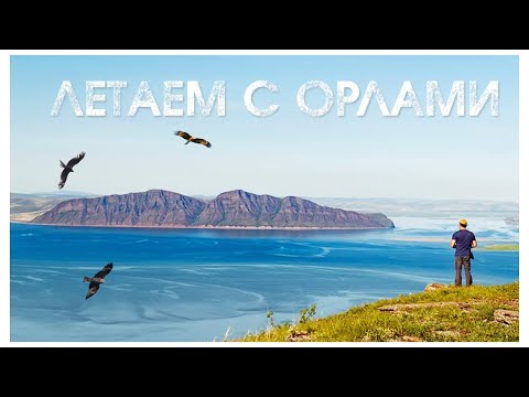 Видео: Природа Хакасии. Летаем с орлами на горе Куня