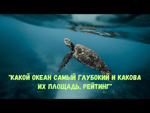 Видео: "КАКОЙ ОКЕАН САМЫЙ ГЛУБОКИЙ И КАКОВА ИХ ПЛОЩАДЬ, РЕЙТИНГ"