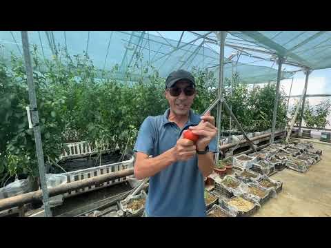 Видео: Обзор база 2023 и Старт с друзьями