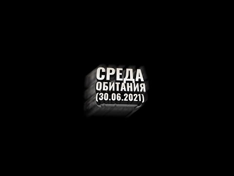 Видео: Среда Обитания (30.06.2021)